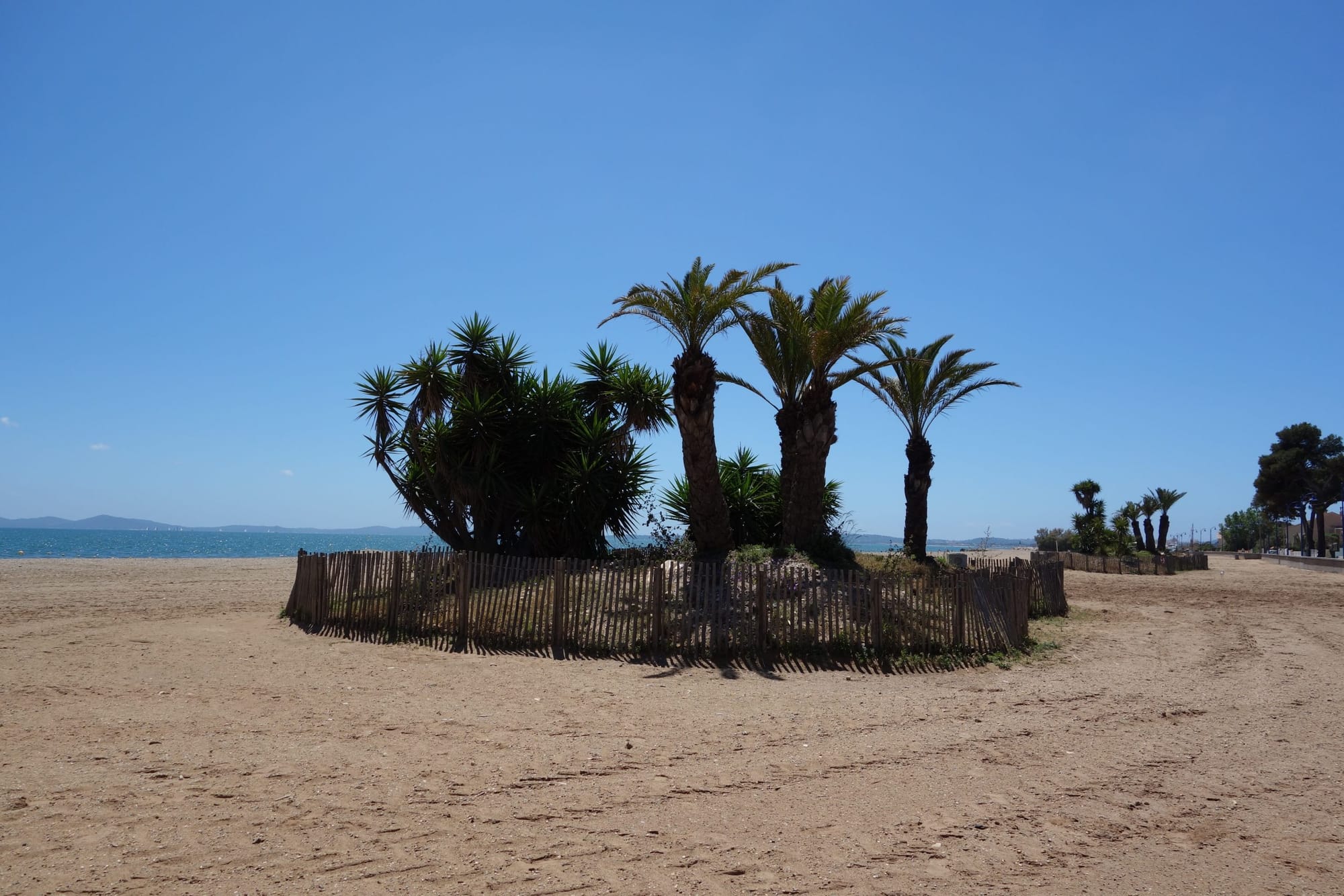 Plage de sable fin bordée de verdure sur le littoral hyérois, avec accès aménagé et mer calme.