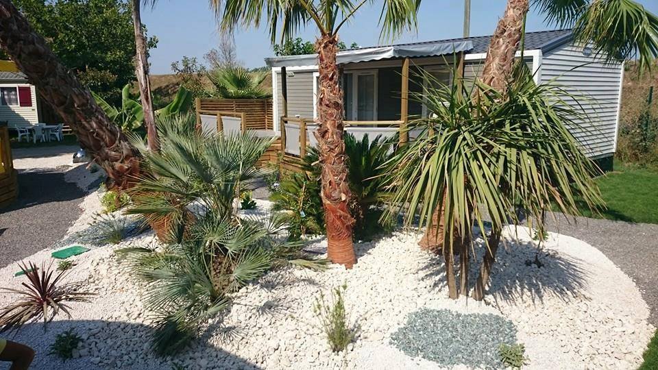 Un petit jardin avec des palmiers et des rochers dans les meilleurs campings gay d'Europe.