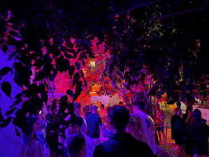 Un groupe de personnes debout sous un arbre la nuit.